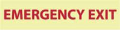 NMC - Emergency Exit, Pressure Sensitive Vinyl Exit Sign - 12" Wide x 3" High, Glow-in-the-Dark - Benchmark Tooling