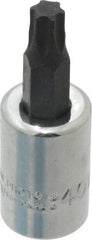 Proto - 3/8" Drive, T40 Torx Bit Socket - 1-31/32" OAL - Benchmark Tooling