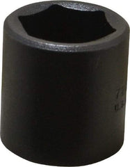 Proto - 3/8" Drive 13/16" Standard Impact Socket - 6 Points, 1-7/32" OAL - Benchmark Tooling