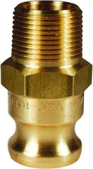 Dixon Valve & Coupling - 1-1/4" Brass Cam & Groove Suction & Discharge Hose Male Adapter Male NPT Thread - Part F, 1-1/4" Thread, 250 Max psi - Benchmark Tooling