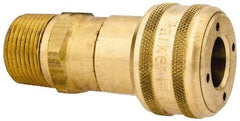 Parker - 3/4-14 Male NPT Industrial Pneumatic Hose Coupler - Brass, 1/2" Body Diam - Benchmark Tooling