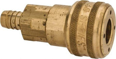 Parker - Hose Barb Industrial Pneumatic Hose Coupler - Brass, 1/2" Body Diam, 1/2" Hose ID - Benchmark Tooling