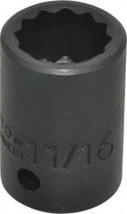 Proto - 1/2" Drive 11/16" Standard Impact Socket - 12 Points, 1-1/2" OAL - Benchmark Tooling