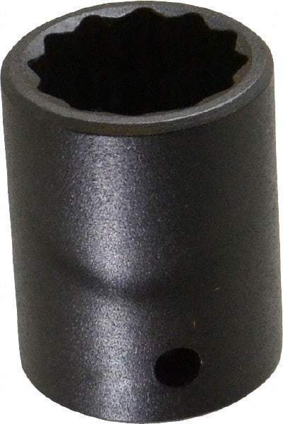 Proto - 1/2" Drive 7/8" Standard Impact Socket - 12 Points, 1-5/8" OAL - Benchmark Tooling