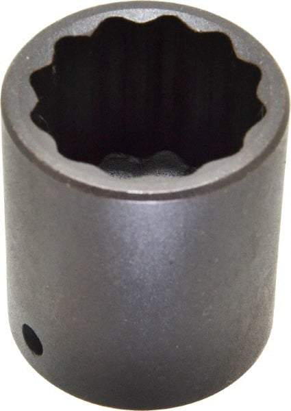 Proto - 1/2" Drive 1-1/4" Standard Impact Socket - 12 Points, 2" OAL - Benchmark Tooling