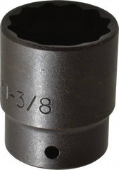 Proto - 1/2" Drive 1-3/8" Standard Impact Socket - 12 Points, 2-1/8" OAL - Benchmark Tooling