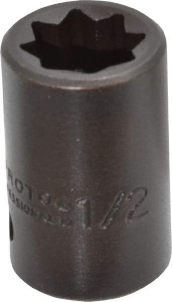 Proto - 1/2" Drive 1/2" Standard Impact Socket - 8 Points, 1-1/2" OAL - Benchmark Tooling