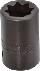 Proto - 1/2" Drive 1/2" Standard Impact Socket - 8 Points, 1-1/2" OAL - Benchmark Tooling