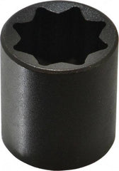 Proto - 1/2" Drive 13/16" Standard Impact Socket - 8 Points, 1-1/2" OAL - Benchmark Tooling