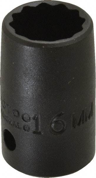 Proto - 1/2" Drive 16mm Standard Impact Socket - 12 Points, 1-1/2" OAL - Benchmark Tooling