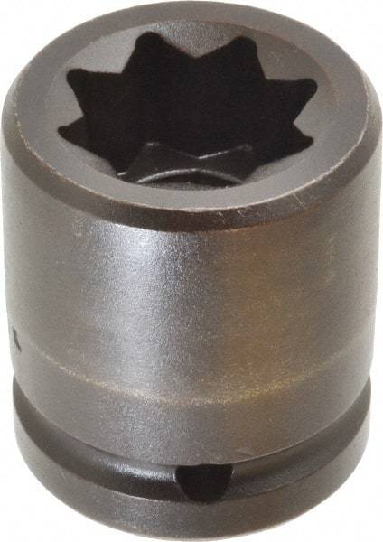 Proto - 3/4" Drive 7/8" Standard Impact Socket - 8 Points, 2" OAL - Benchmark Tooling