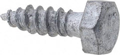 Value Collection - 1/4" Screw, 1" Length Under Head, Steel, Hex Head Lag Screw - Hot Dipped Galvanized, Grade 2 - Benchmark Tooling
