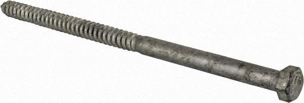 Value Collection - 5/8" Screw, 12" Length Under Head, Steel, Hex Head Lag Screw - Hot Dipped Galvanized, Grade 2 - Benchmark Tooling
