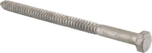 Value Collection - 3/4" Screw, 12" Length Under Head, Steel, Hex Head Lag Screw - Hot Dipped Galvanized, Grade 2 - Benchmark Tooling