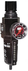 ARO/Ingersoll-Rand - 1/2" NPT Port Standard 1 Piece Filter/Regulator FRL Unit - Metal Bowl, 172 SCFM, 250 Max psi, 1039" High x 2.756" Long, Manual Drain - Benchmark Tooling