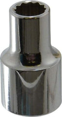 Proto - 3/8", 1/2" Drive, Standard Hand Socket - 12 Points, 1-31/64" OAL, Chrome Finish - Benchmark Tooling