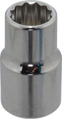 Proto - 1/2", 1/2" Drive, Standard Hand Socket - 12 Points, 1-31/64" OAL, Chrome Finish - Benchmark Tooling