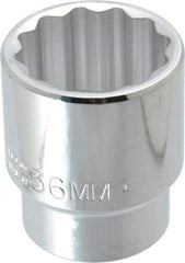 Proto - 1/2" Drive, Standard Hand Socket - 12 Points, 2-1/4" OAL, Chrome Finish - Benchmark Tooling