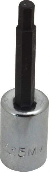 Proto - 3/8" Drive, 5mm Hex Bit Socket - 2-5/8" OAL, 1-5/8" Bit Length - Benchmark Tooling