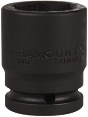 Paramount - 3/4" Drive 31mm Standard Impact Socket - 6 Points, 2-1/4" OAL - Benchmark Tooling