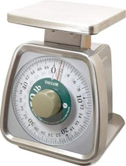 Taylor - 50 Lb. Capacity, Analog Dial Portion Control Scale - 1/8 oz. Graduation, 6 x 5" Platform - Benchmark Tooling