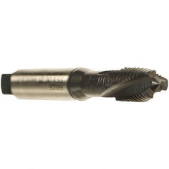 Emuge - #5-40 UNC 2 Flute 2BX Plug Spiral Flute Tap - Cobalt, Oxide Finish, 1-15/16" OAL, Left Hand Flute, Right Hand Thread, Series Rekord C - Exact Industrial Supply