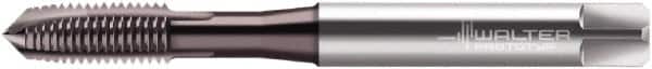 Walter-Prototyp - #12-24 UNC 3 Flute 2B Plug Spiral Point Tap - High Speed Steel, Hardlube Finish, Right Hand Thread, Series AEP2221002 - Exact Industrial Supply