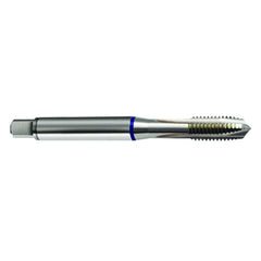 M6 × 1.0 3FL 6H PM Cobalt Spiral Point Plug Blue Ring Tap-Bright FORM-B - Benchmark Tooling