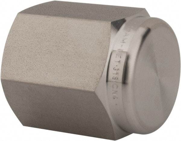 Ham-Let - 1/4" Grade 316 Stainless Steel Pipe End Cap - FNPT End Connections, 6,200 psi - Benchmark Tooling