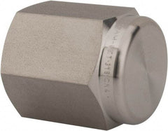 Ham-Let - 1/4" Grade 316 Stainless Steel Pipe End Cap - FNPT End Connections, 6,200 psi - Benchmark Tooling
