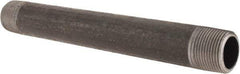 Made in USA - Schedule 80, 1" Diam x 10" Long Black Pipe Nipple - Threaded - Benchmark Tooling