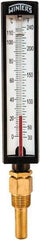 Winters - 30 to 240°F, Industrial Thermometer with Standard Thermowell - 2 Inch Immersion Length, 1.825 Inch Stem Length, 10 Inch Long, 1/2 Inch Thread - Benchmark Tooling