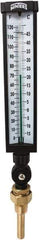 Winters - -15 to 120°F, Industrial Thermometer with Standard Thermowell - 3 Inch Immersion Length, 3-1/2 Inch Stem Length, 17 Inch Long, 3/4 Inch Thread - Benchmark Tooling