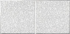 Armstrong World - 48" Long x 24" Wide, Wet-Formed Mineral Fiber Acoustic Ceiling Tile - ASTM E1264 Specification, White - Benchmark Tooling