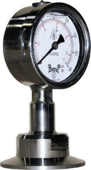 Winters - 2-1/2" Dial, 2 Thread, 0-160 Scale Range, Pressure Gauge - Lower Connection Mount, Accurate to 1.5% of Scale - Benchmark Tooling