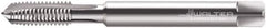 Walter-Prototyp - 5/16-24 UNF, 3 Flute, Bright Finish, Powdered Metal Spiral Point Tap - Plug Chamfer, Right Hand Thread, 2-23/32" OAL, 19mm Thread Length, 8.08mm Shank Diam, 3B Class of Fit, Series A2320760 - Exact Industrial Supply