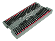 51PC PRECISION DRIVERS TRAY SET - Benchmark Tooling