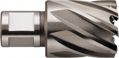 Fein - 7/8" Diam x 1" Deep High Speed Steel Annular Cutter - Benchmark Tooling