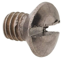 Value Collection - M4x0.70 Metric Coarse, 6mm OAL Slotted Drive Machine Screw - Oval Head, Grade 18-8 & A2 Stainless Steel, Uncoated, Without Washer - Benchmark Tooling