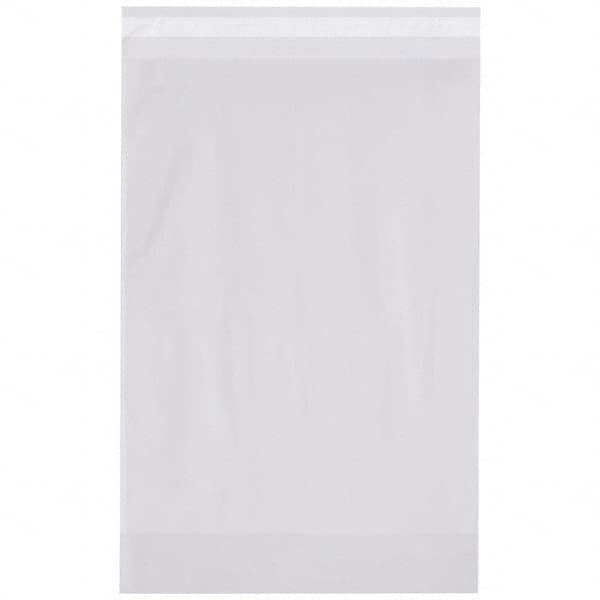 Value Collection - Pack of (500), 12 x 18" 2 mil Resealable Poly Bags - Benchmark Tooling