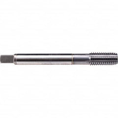 Emuge - Thread Forming STI Taps Thread Size (Inch): 1/4-28 Class of Fit: 2B - Benchmark Tooling