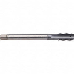 Emuge - M16x1.50 Metric Fine 6H 0 Flute TiCN Finish Cobalt Machine Tap - Benchmark Tooling