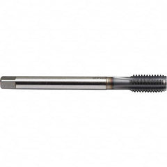 Emuge - M16x1.50 Metric Fine 6H 0 Flute TiCN Finish Powdered Metal Machine Tap - Benchmark Tooling