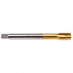 Emuge - M10x1.00 Metric Fine 6HX 4 Flute TiN Finish HSS-E Spiral Point Tap - Benchmark Tooling