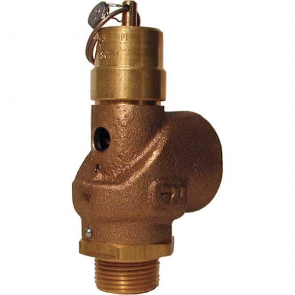 Control Devices - 3/4" Inlet, 3/4" Outlet, ASME Safety Valve - Benchmark Tooling