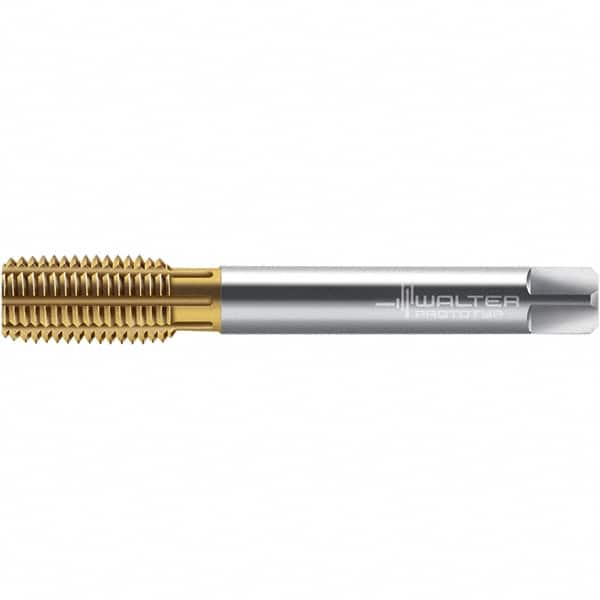 Walter-Prototyp - 5/8-11 UNC 2BX Semi-Bottoming Thread Forming Tap - High Speed Steel, TiN Finish, 110mm OAL - Benchmark Tooling