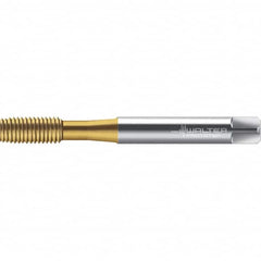 Walter-Prototyp - M4x0.70 DIN 2174 6GX 3.700 Thread Limit Semi-Bottoming Thread Forming Tap - Powdered Metal High Speed Steel, TiN Finish, 64.87mm OAL, 7mm Thread Length, Right Hand Thread, Series TC420 - Benchmark Tooling