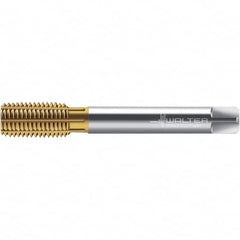 Walter-Prototyp - M16x2.00 DIN 2174 6GX 15.160 Thread Limit Semi-Bottoming Thread Forming Tap - Powdered Metal High Speed Steel, TiN Finish, 110mm OAL, 20mm Thread Length, Right Hand Thread, Series TC430 - Benchmark Tooling