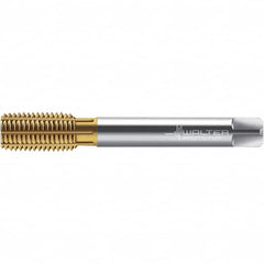 Walter-Prototyp - M14x1.00 DIN 2174 6HX 13.600 Thread Limit Semi-Bottoming Thread Forming Tap - Powdered Metal High Speed Steel, TiN Finish, 100mm OAL, 15mm Thread Length, Right Hand Thread, Series TC420 - Benchmark Tooling