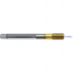 Guhring - 1/2-13 UNC 2BX H10/H11 Thread Limit Bottoming Thread Forming Tap - High Speed Steel, TiN Finish, 4.331" OAL, Right Hand Thread, Series 4383 - Benchmark Tooling